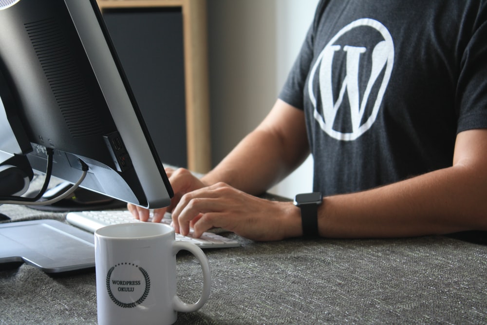 Plugins in WordPress