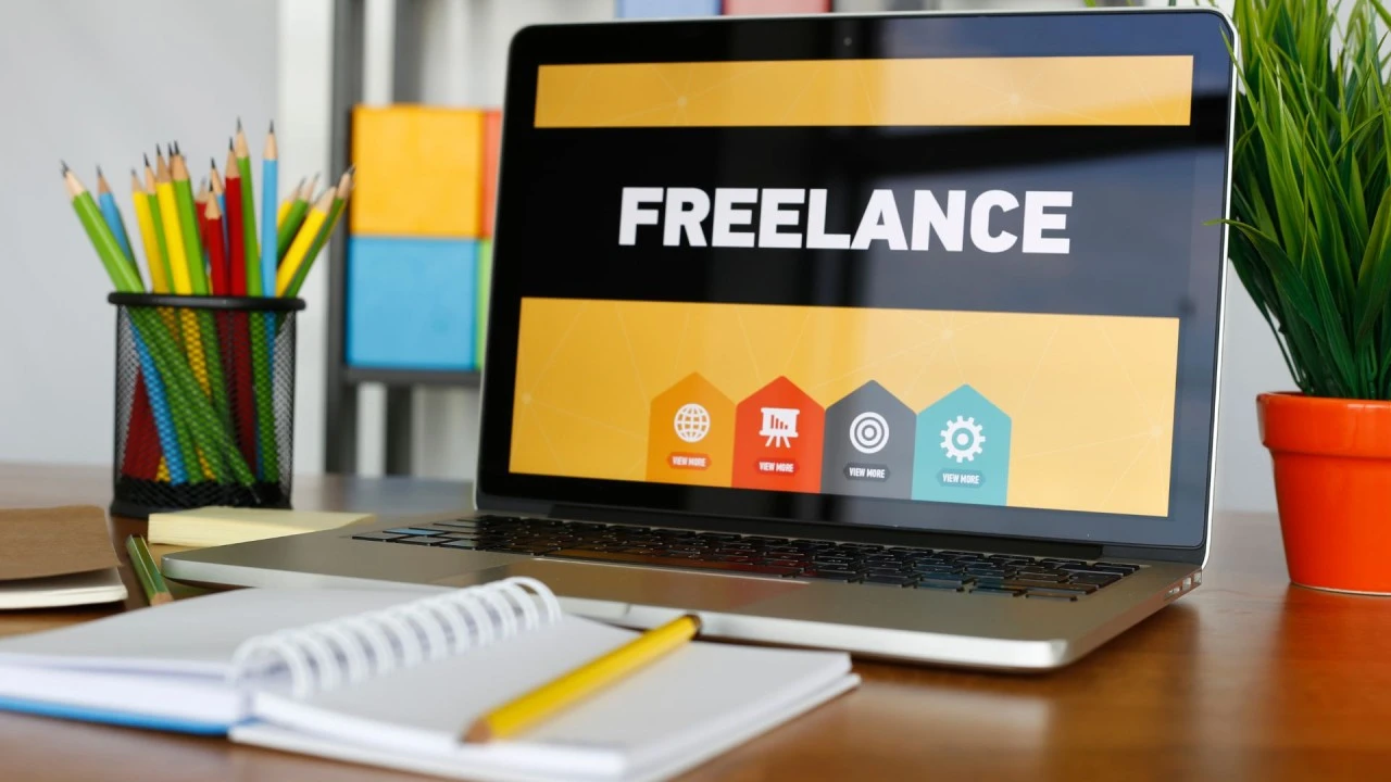 best wordpress developers
